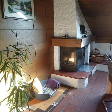 Winzer Aussergewoehnliche Atelierferienwohnung Mit Balkon An Der Donau מראה חיצוני תמונה