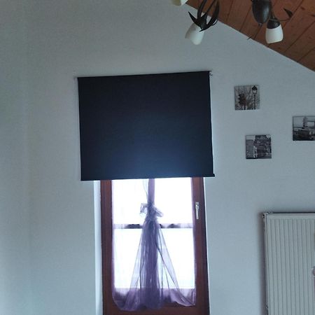 Winzer Aussergewoehnliche Atelierferienwohnung Mit Balkon An Der Donau מראה חיצוני תמונה