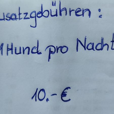 Winzer Aussergewoehnliche Atelierferienwohnung Mit Balkon An Der Donau מראה חיצוני תמונה