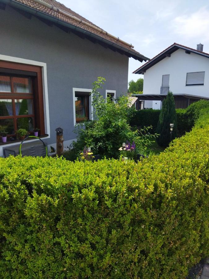 Winzer Aussergewoehnliche Atelierferienwohnung Mit Balkon An Der Donau מראה חיצוני תמונה