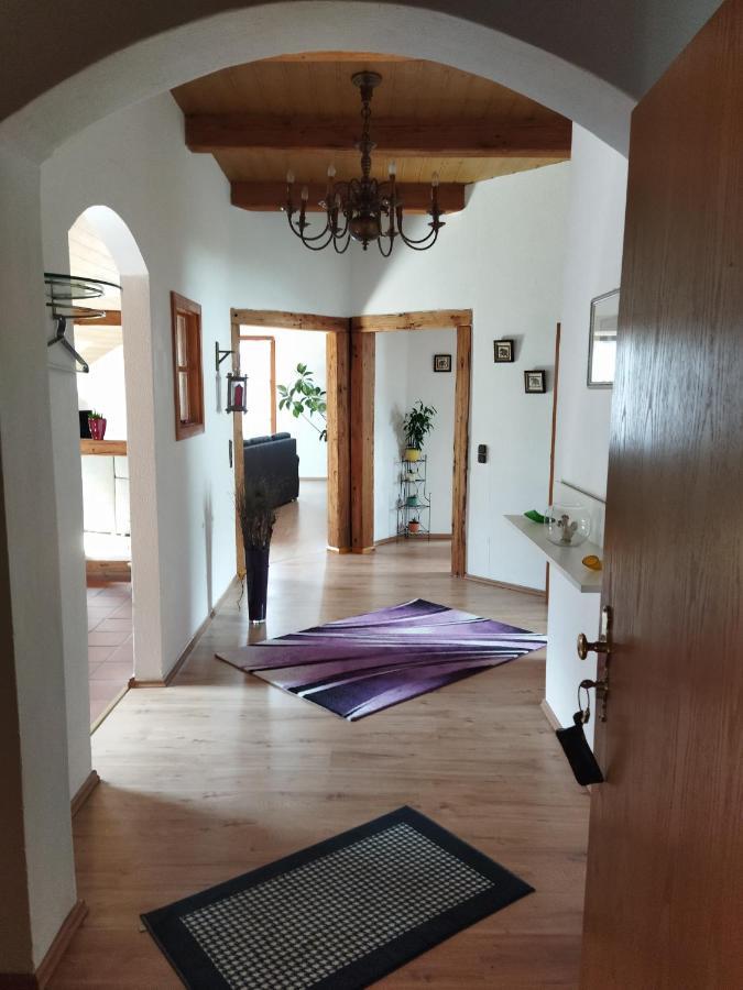 Winzer Aussergewoehnliche Atelierferienwohnung Mit Balkon An Der Donau מראה חיצוני תמונה