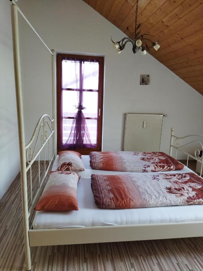 Winzer Aussergewoehnliche Atelierferienwohnung Mit Balkon An Der Donau מראה חיצוני תמונה