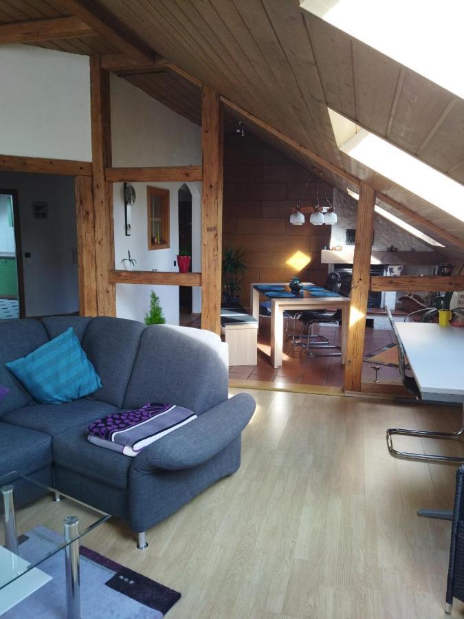 Winzer Aussergewoehnliche Atelierferienwohnung Mit Balkon An Der Donau מראה חיצוני תמונה