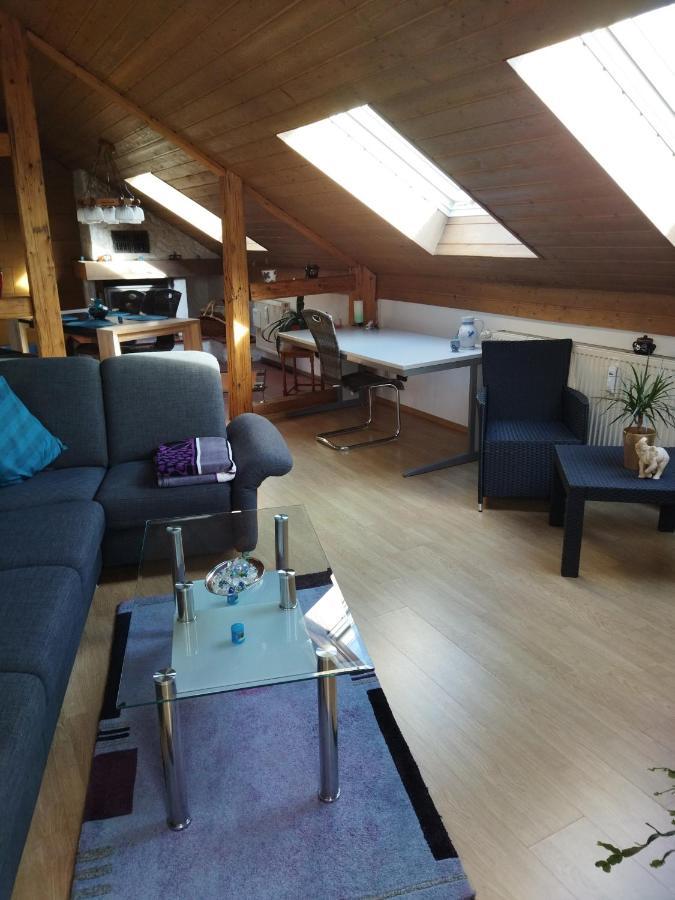 Winzer Aussergewoehnliche Atelierferienwohnung Mit Balkon An Der Donau מראה חיצוני תמונה