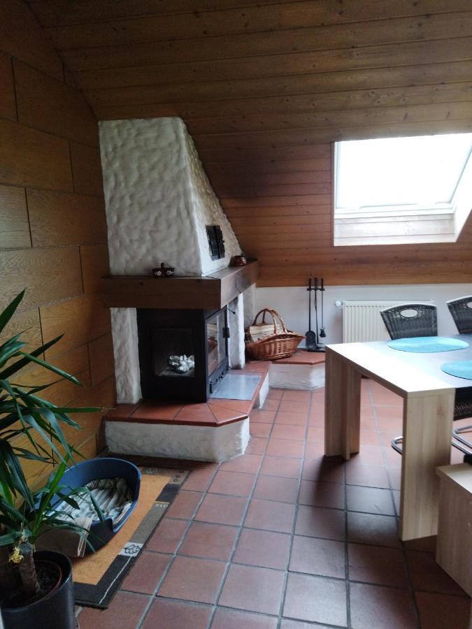 Winzer Aussergewoehnliche Atelierferienwohnung Mit Balkon An Der Donau מראה חיצוני תמונה