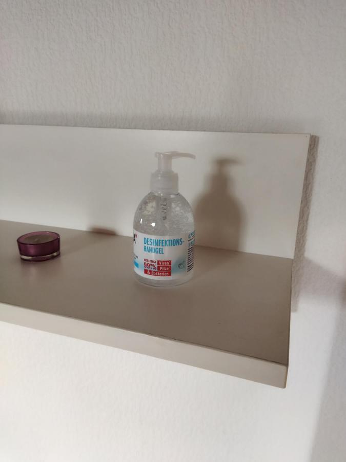 Winzer Aussergewoehnliche Atelierferienwohnung Mit Balkon An Der Donau מראה חיצוני תמונה
