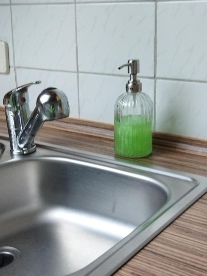 Winzer Aussergewoehnliche Atelierferienwohnung Mit Balkon An Der Donau מראה חיצוני תמונה
