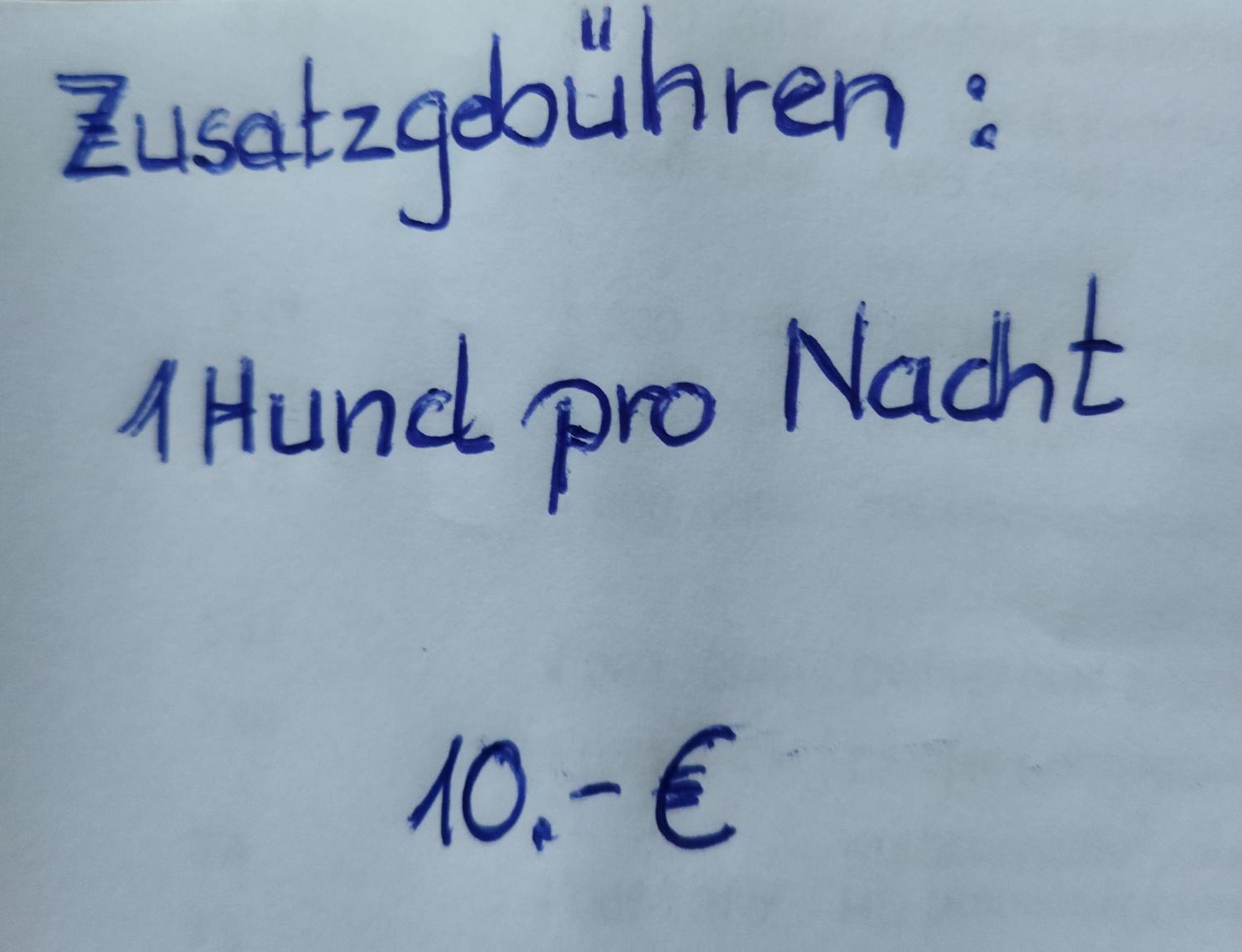 Winzer Aussergewoehnliche Atelierferienwohnung Mit Balkon An Der Donau מראה חיצוני תמונה
